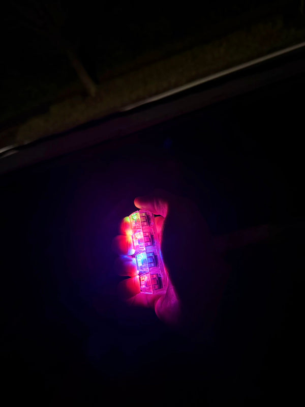 Jessica P., Student review photo